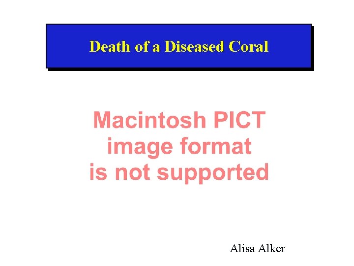 Death of a Diseased Coral Alisa Alker 