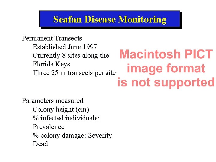 Seafan Disease Monitoring Permanent Transects Established June 1997 Currently 8 sites along the Florida