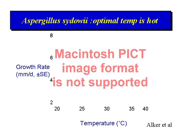 Aspergillus sydowii : optimal temp is hot 8 6 Growth Rate (mm/d, ±SE) 4