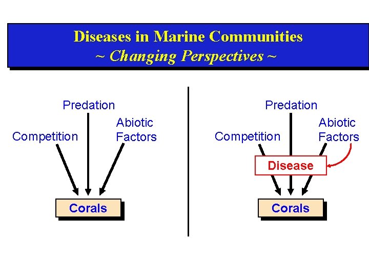 Diseases in Marine Communities ~ Changing Perspectives ~ Predation Competition Predation Abiotic Factors Competition