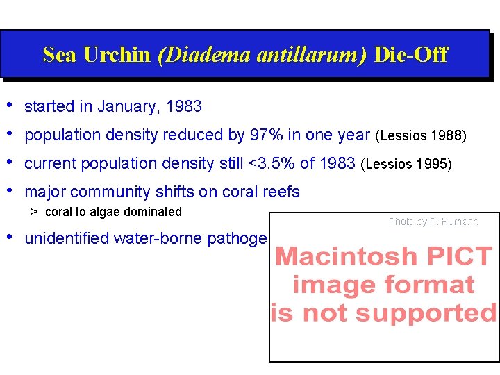 Sea Urchin (Diadema antillarum ) Die-Off • • started in January, 1983 population density