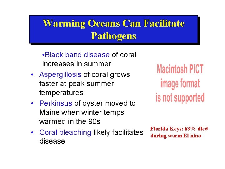 Warming Oceans Can Facilitate Pathogens • Black band disease of coral increases in summer