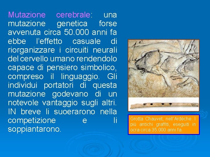 Mutazione cerebrale: una mutazione genetica forse avvenuta circa 50. 000 anni fa ebbe l’effetto