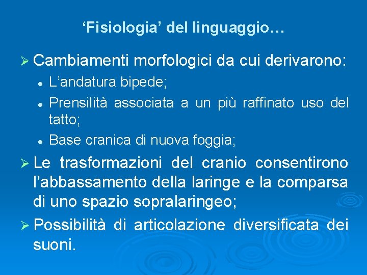 ‘Fisiologia’ del linguaggio… Ø Cambiamenti morfologici da cui derivarono: l l l L’andatura bipede;