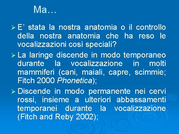 Ma… Ø E’ stata la nostra anatomia o il controllo della nostra anatomia che