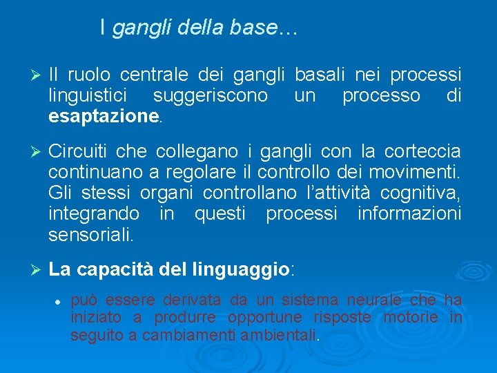 I gangli della base… Ø Il ruolo centrale dei gangli basali nei processi linguistici