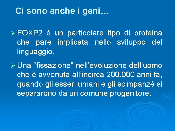 Ci sono anche i geni… Ø FOXP 2 è un particolare tipo di proteina