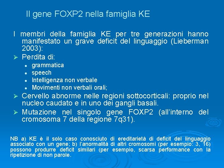 Il gene FOXP 2 nella famiglia KE I membri della famiglia KE per tre