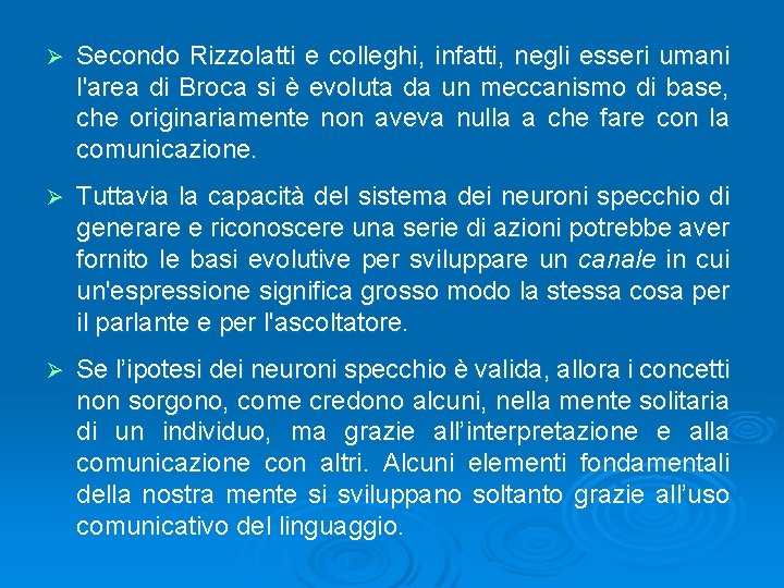 Ø Secondo Rizzolatti e colleghi, infatti, negli esseri umani l'area di Broca si è