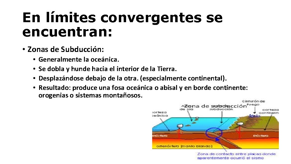 En límites convergentes se encuentran: • Zonas de Subducción: • • Generalmente la oceánica.