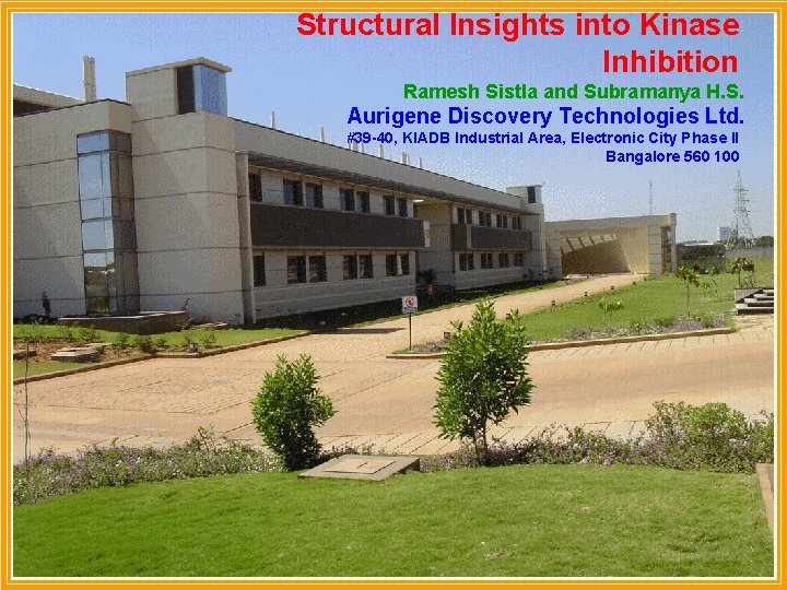 Structural Insights into Kinase Inhibition Ramesh Sistla and Subramanya H. S. Aurigene Discovery Technologies