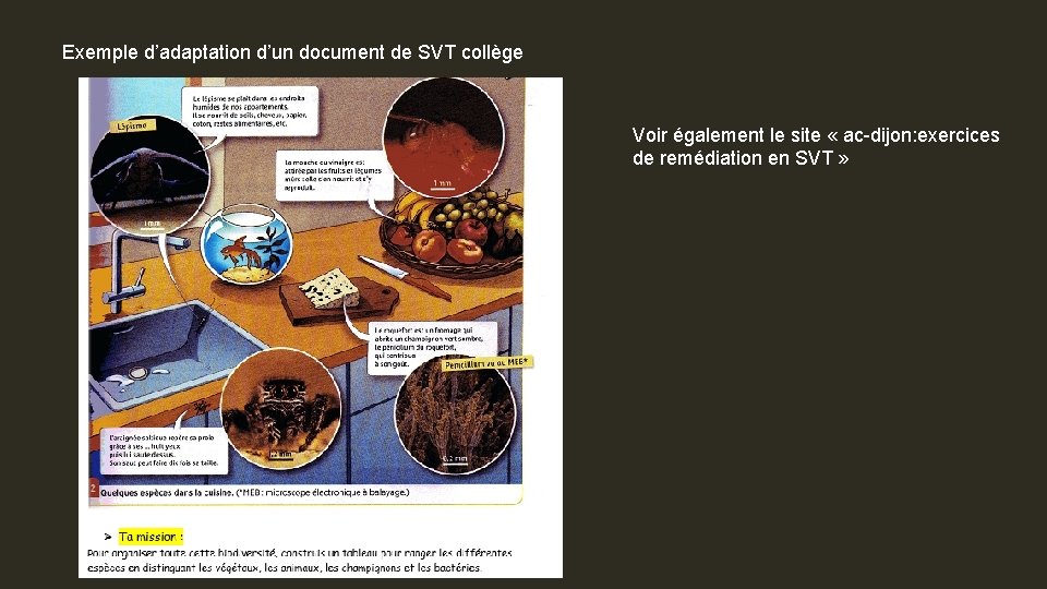 Exemple d’adaptation d’un document de SVT collège Voir également le site « ac-dijon: exercices