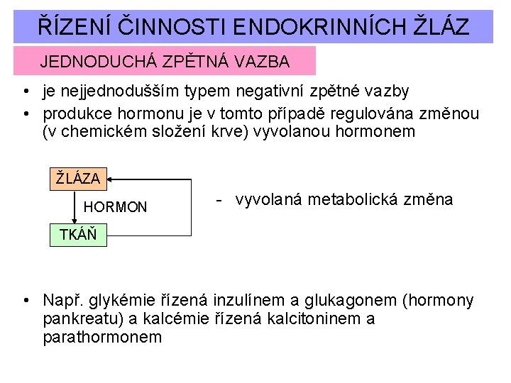 ŘÍZENÍ ČINNOSTI ENDOKRINNÍCH ŽLÁZ JEDNODUCHÁ ZPĚTNÁ VAZBA • je nejjednodušším typem negativní zpětné vazby