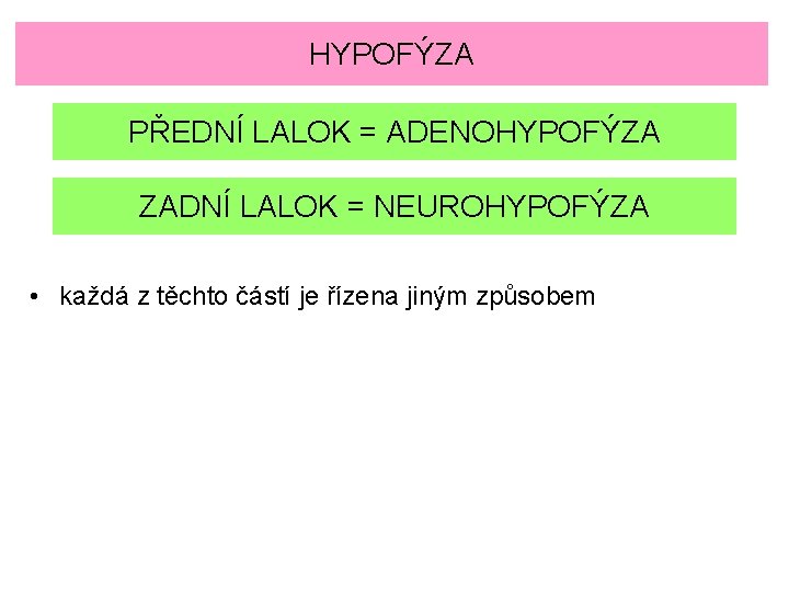 HYPOFÝZA PŘEDNÍ LALOK = ADENOHYPOFÝZA ZADNÍ LALOK = NEUROHYPOFÝZA • každá z těchto částí