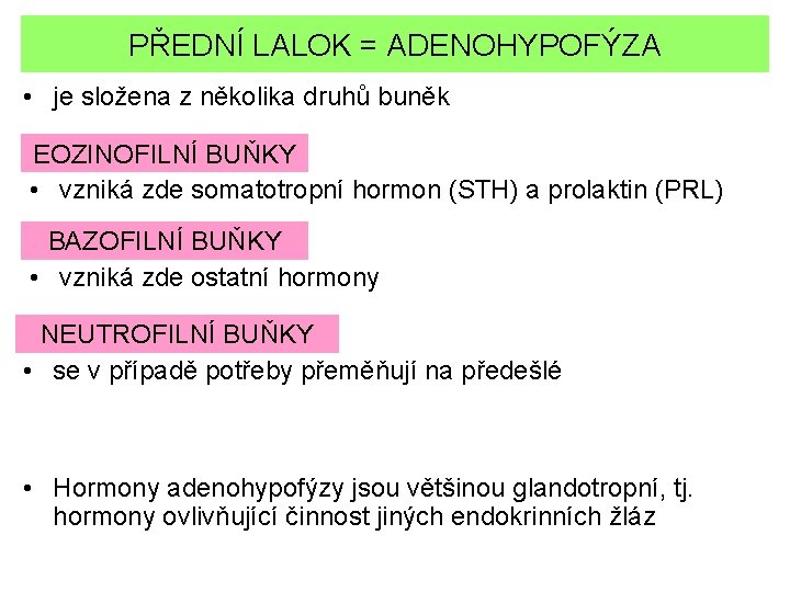 PŘEDNÍ LALOK = ADENOHYPOFÝZA • je složena z několika druhů buněk EOZINOFILNÍ BUŇKY •