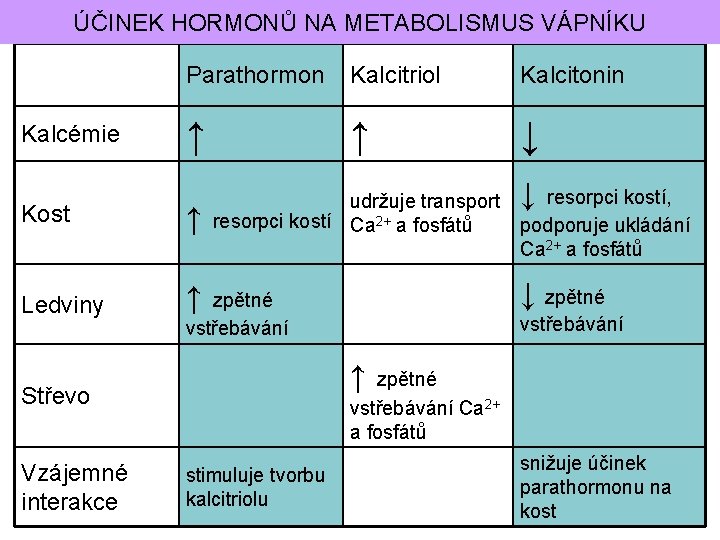 ÚČINEK HORMONŮ NA METABOLISMUS VÁPNÍKU Parathormon Kalcitriol Kalcitonin ↑ ↑ ↓ Kost ↑ udržuje