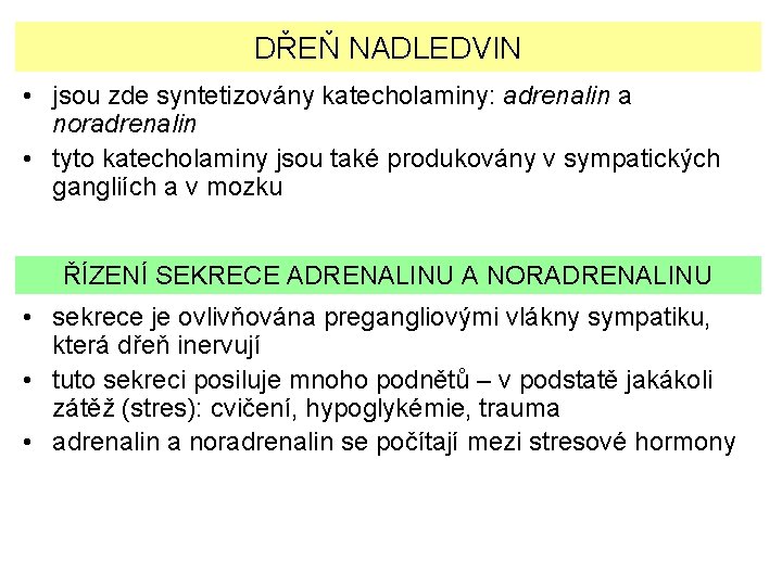 DŘEŇ NADLEDVIN • jsou zde syntetizovány katecholaminy: adrenalin a noradrenalin • tyto katecholaminy jsou