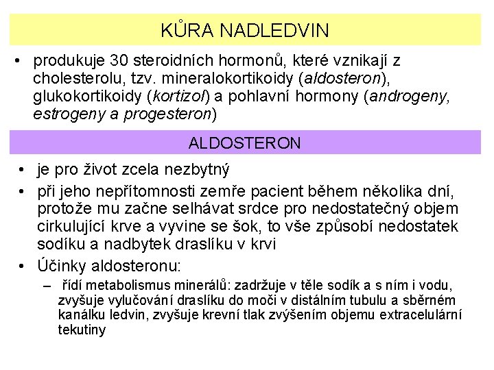 KŮRA NADLEDVIN • produkuje 30 steroidních hormonů, které vznikají z cholesterolu, tzv. mineralokortikoidy (aldosteron),