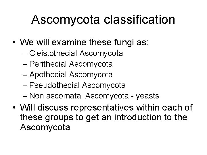 Ascomycota classification • We will examine these fungi as: – Cleistothecial Ascomycota – Perithecial