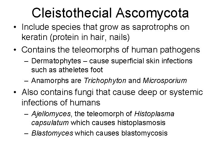 Cleistothecial Ascomycota • Include species that grow as saprotrophs on keratin (protein in hair,