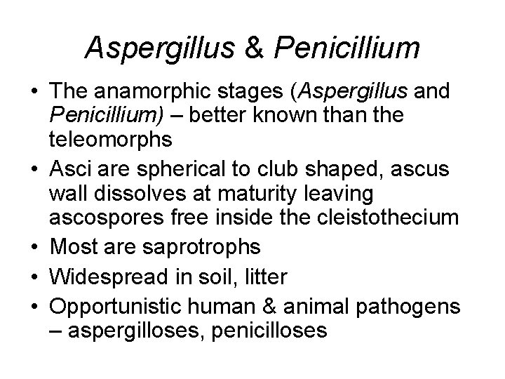 Aspergillus & Penicillium • The anamorphic stages (Aspergillus and Penicillium) – better known than