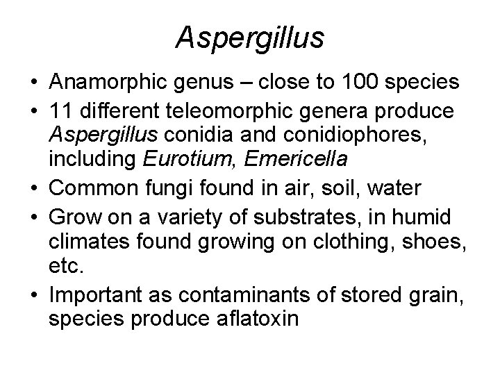 Aspergillus • Anamorphic genus – close to 100 species • 11 different teleomorphic genera