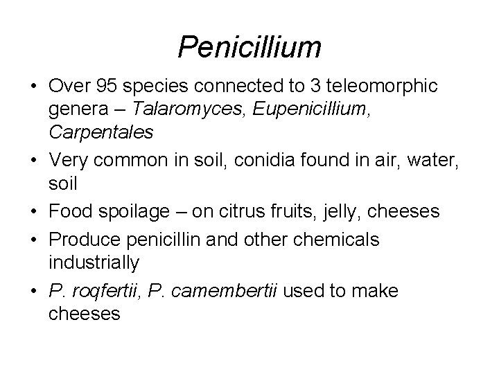 Penicillium • Over 95 species connected to 3 teleomorphic genera – Talaromyces, Eupenicillium, Carpentales