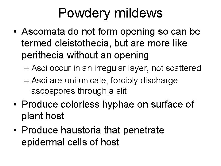 Powdery mildews • Ascomata do not form opening so can be termed cleistothecia, but