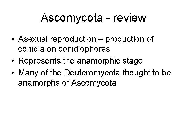 Ascomycota - review • Asexual reproduction – production of conidia on conidiophores • Represents