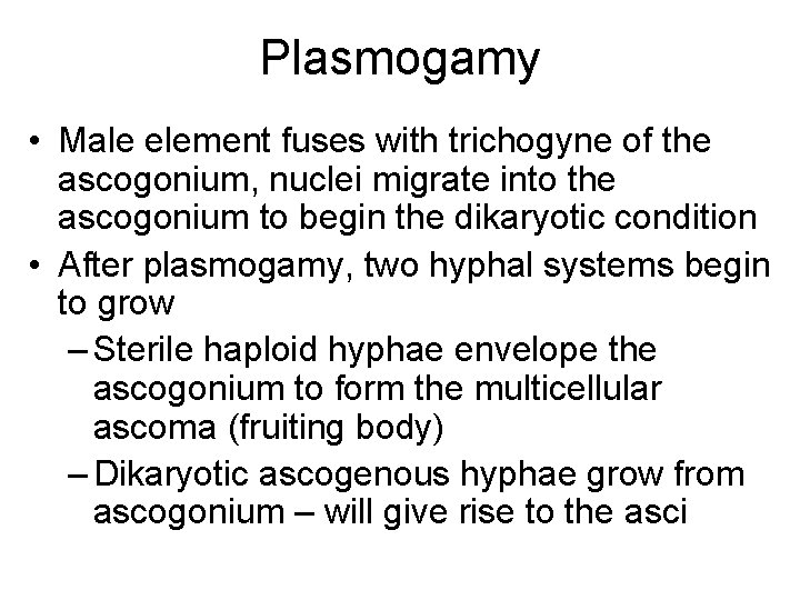 Plasmogamy • Male element fuses with trichogyne of the ascogonium, nuclei migrate into the