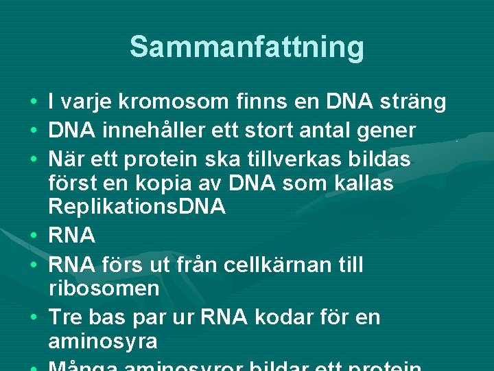 Sammanfattning • • • I varje kromosom finns en DNA sträng DNA innehåller ett