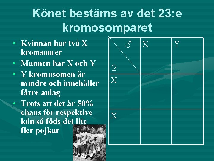 Könet bestäms av det 23: e kromosomparet • Kvinnan har två X kromsomer •