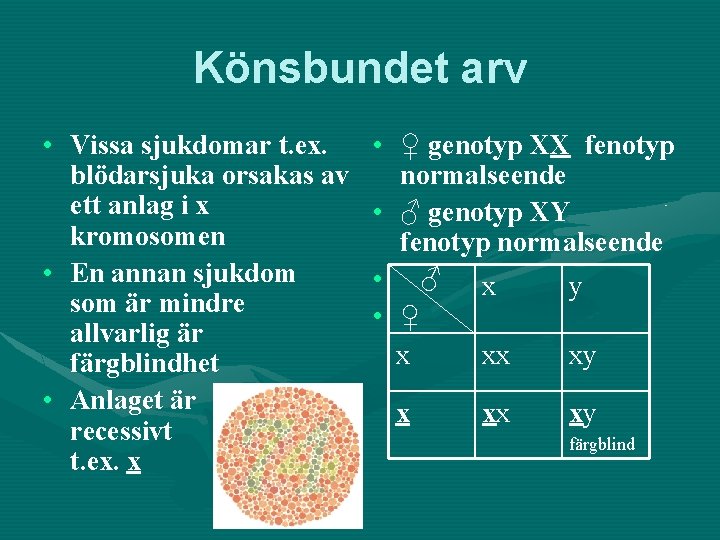 Könsbundet arv • Vissa sjukdomar t. ex. blödarsjuka orsakas av ett anlag i x