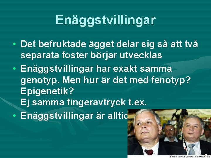 Enäggstvillingar • Det befruktade ägget delar sig så att två separata foster börjar utvecklas