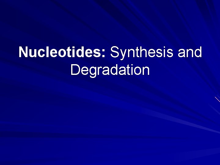 Nucleotides: Synthesis and Degradation 