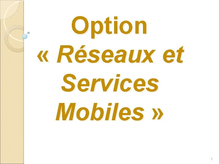 Option « Réseaux et Services Mobiles » 1 