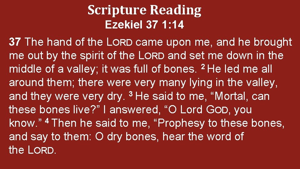 Scripture Reading Ezekiel 37 1: 14 37 The hand of the LORD came upon