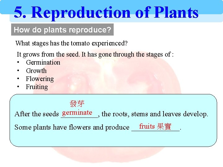 5. Reproduction of Plants How do plants reproduce? What stages has the tomato experienced?