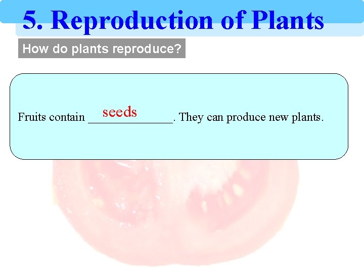 5. Reproduction of Plants How do plants reproduce? seeds Fruits contain _______. They can