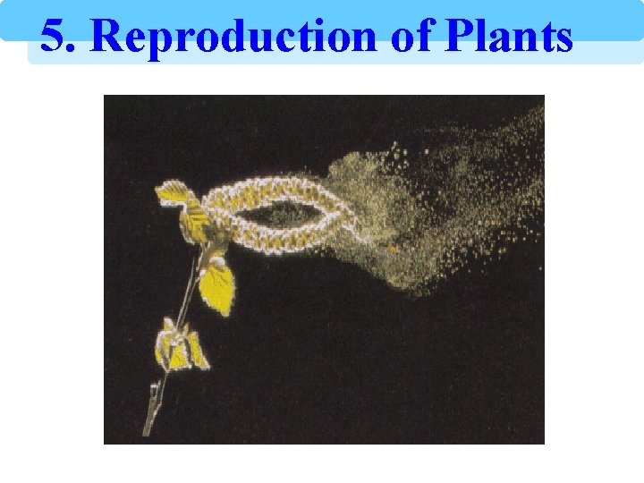 5. Reproduction of Plants 