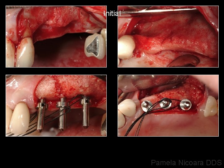 Initial Pamela Nicoara DDS 