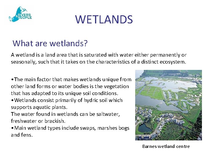 WETLANDS What are wetlands? A wetland is a land area that is saturated with