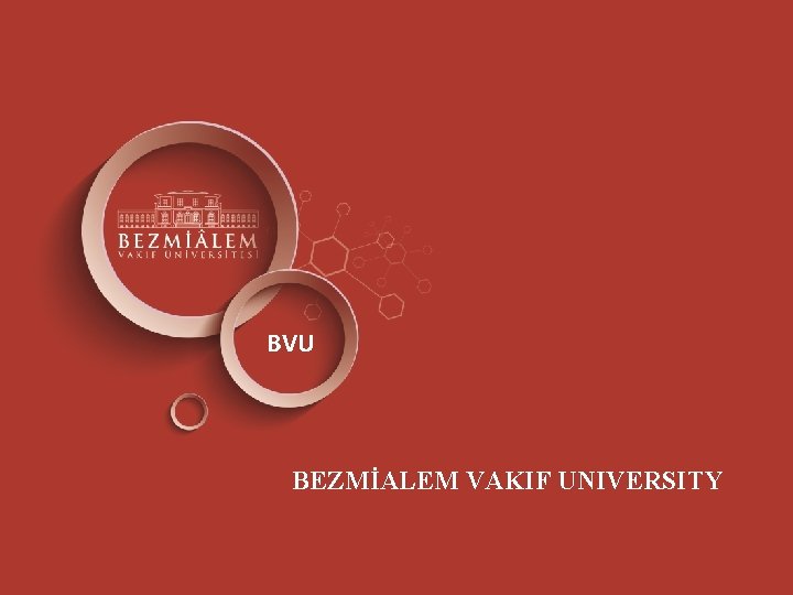 BVU BEZMİALEM VAKIF UNIVERSITY 