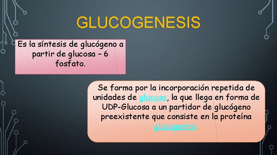 GLUCOGENESIS Es la síntesis de glucógeno a partir de glucosa – 6 fosfato. Se