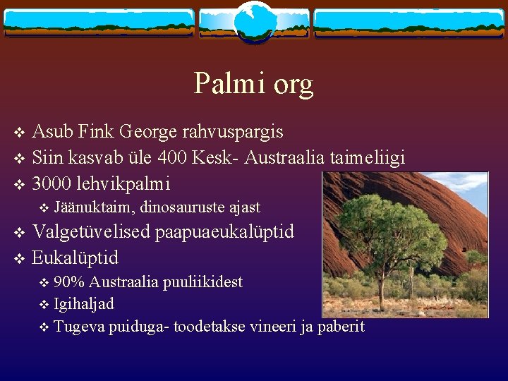 Palmi org Asub Fink George rahvuspargis v Siin kasvab üle 400 Kesk- Austraalia taimeliigi