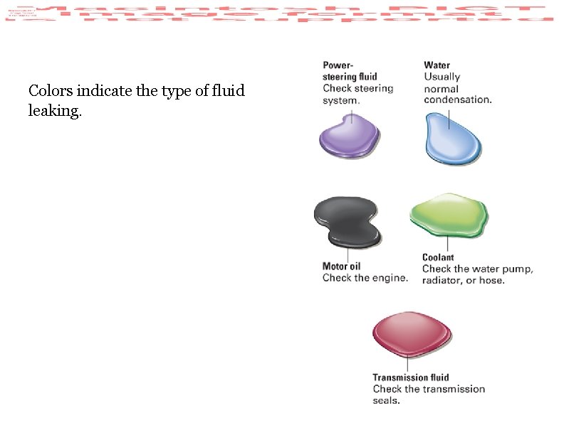 Colors indicate the type of fluid leaking. 