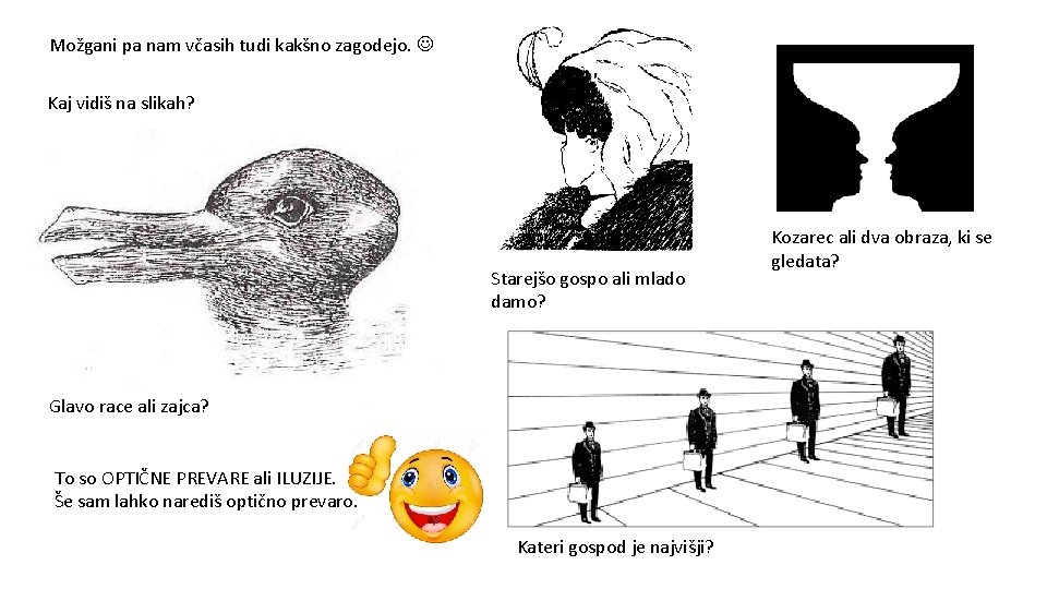 Možgani pa nam včasih tudi kakšno zagodejo. Kaj vidiš na slikah? Starejšo gospo ali