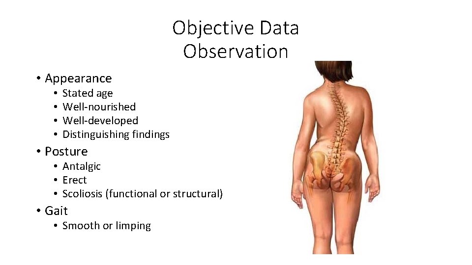 Objective Data Observation • Appearance • • Stated age Well‐nourished Well‐developed Distinguishing findings •