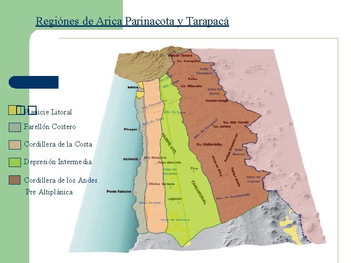 Regiónes de Arica Parinacota y Tarapacá �� Planicie Litoral Farellón Costero Cordillera de la Regiónes de Arica Parinacota y Tarapacá �� Planicie Litoral Farellón Costero Cordillera de la