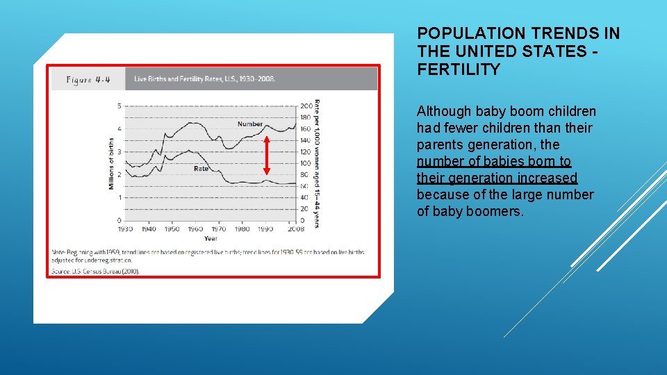 POPULATION TRENDS IN THE UNITED STATES FERTILITY Although baby boom children had fewer children
